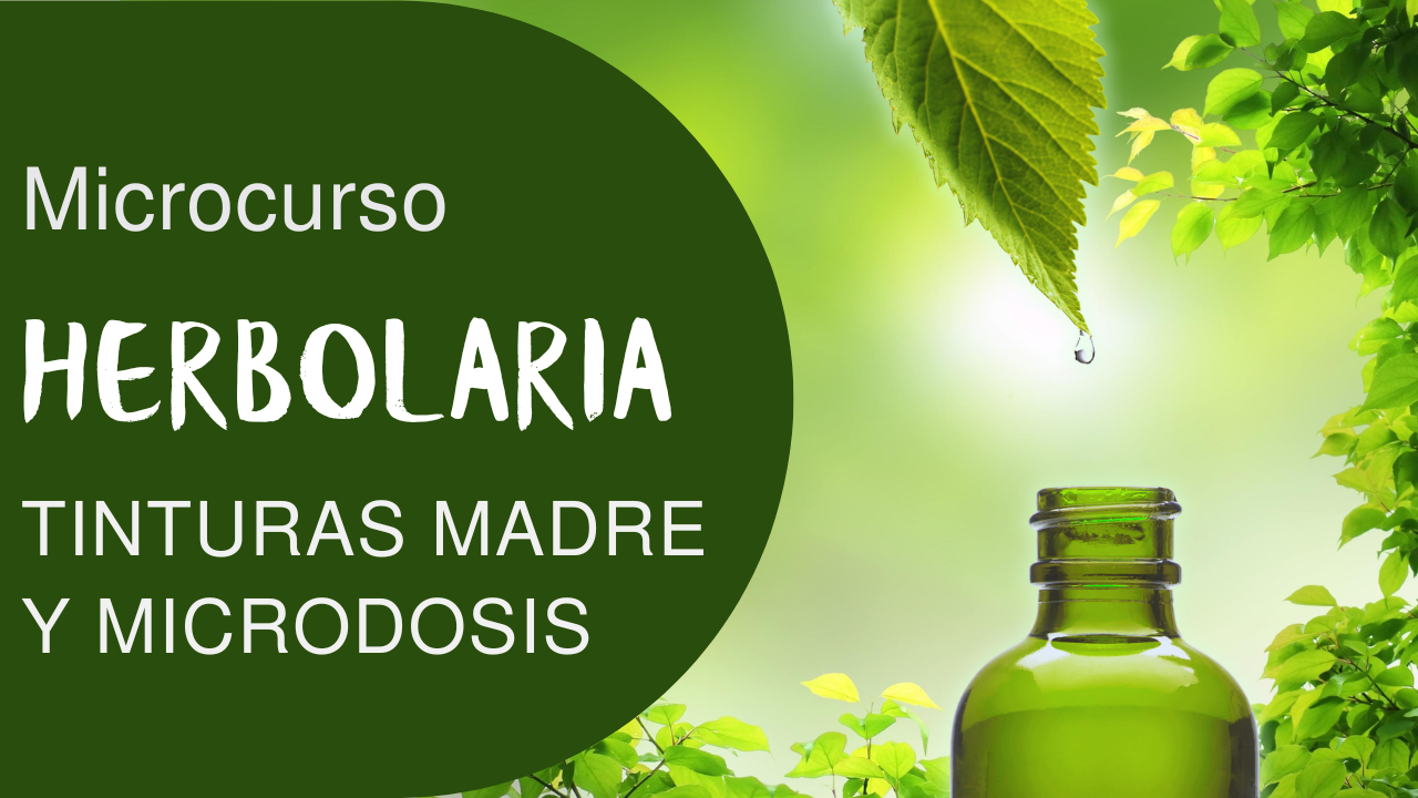 Microcurso de Herbolaria: Tinturas y Microdosis